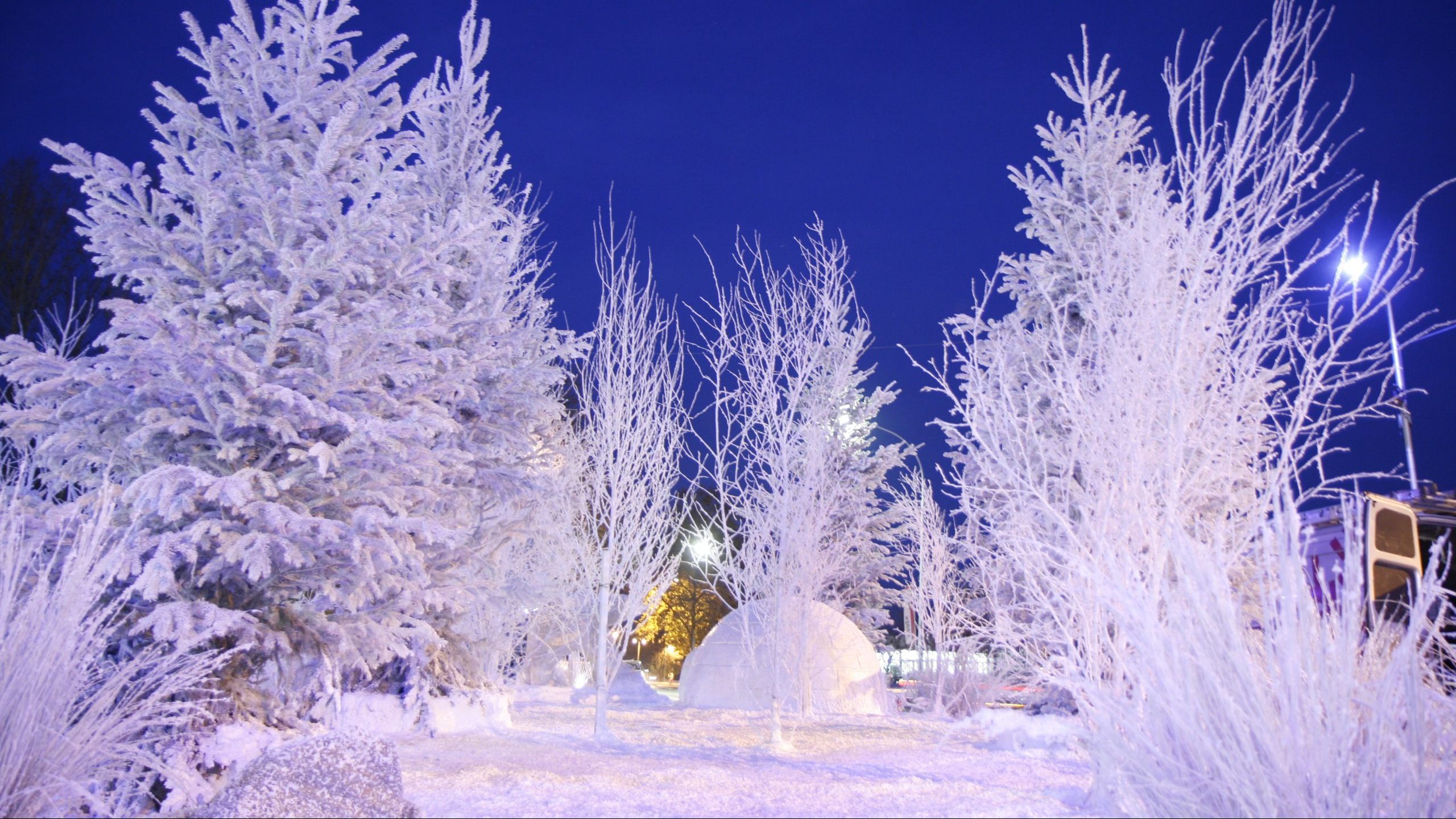 Réalisations décors neige