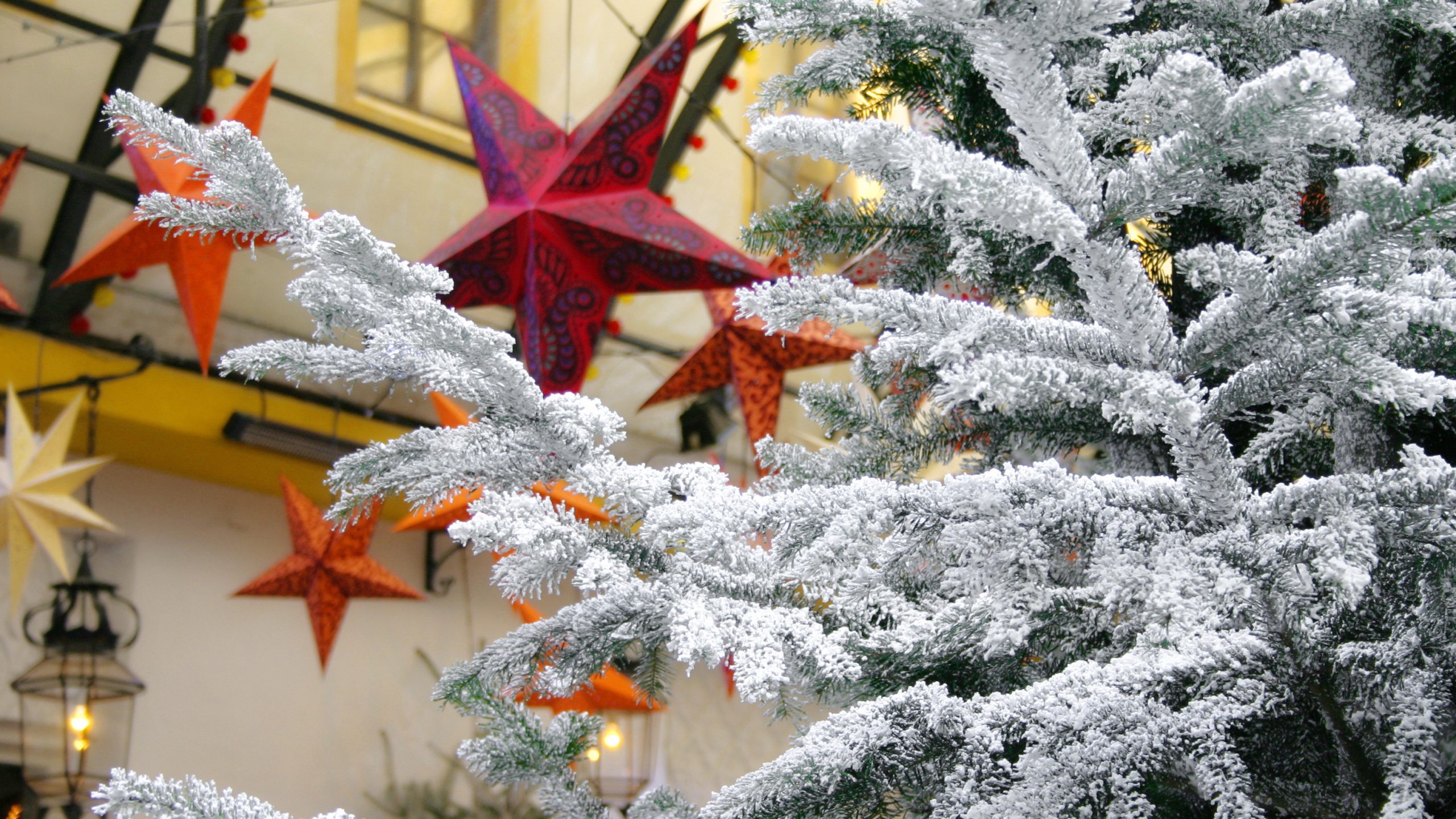 neige sapins etoiles europa park